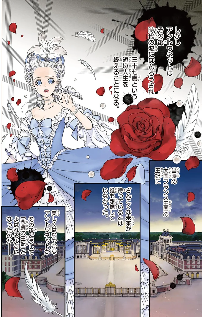 どうして「悲劇の王妃」とよばれるようになったのか