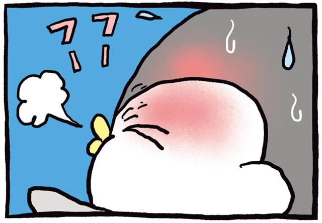 台風来ないで、あっち行け～！ペンギンの必死のお願い／ちゃんぺんとママぺんの平凡だけど幸せな日々（6）