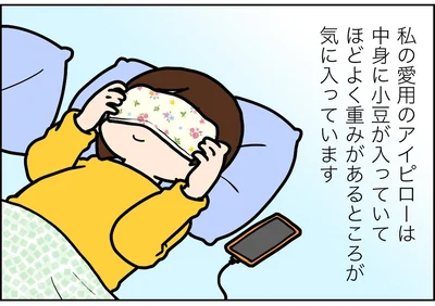 中身に小豆が入っていてほどよく重みがある