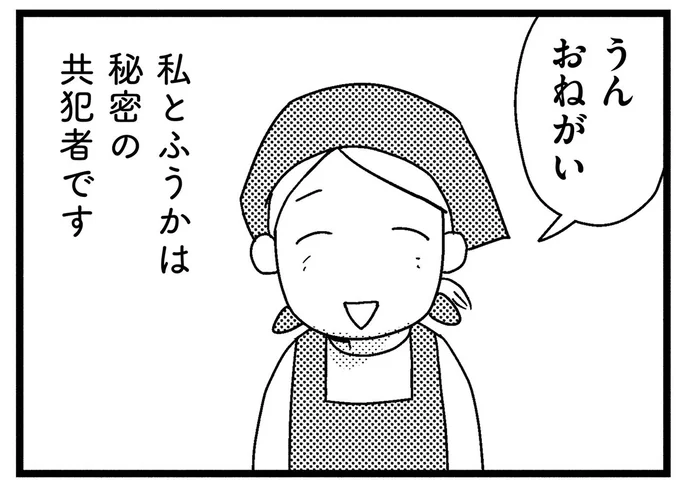 秘密の共犯者
