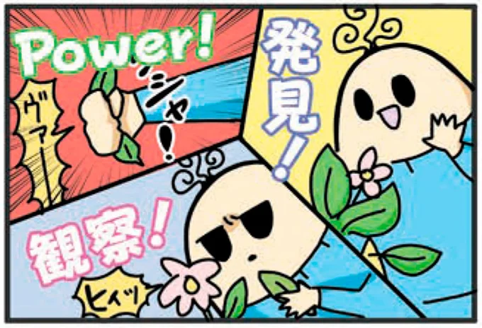 発見!