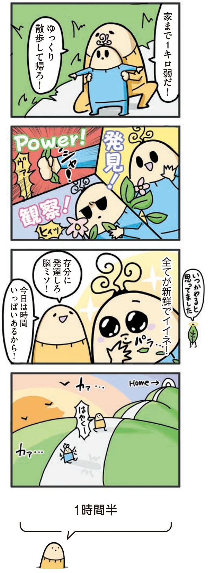 ゆっくり散歩して帰ろ！