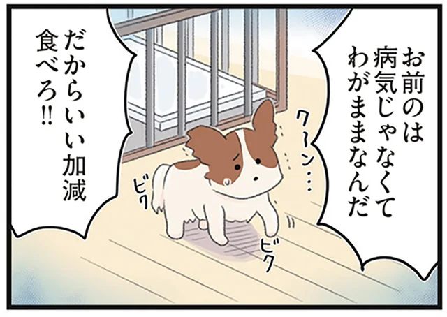 食事拒否をする娘を「わがまま」と断言。心療内科も拒食症も認めない父