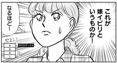 これが嫁イビリというものか！