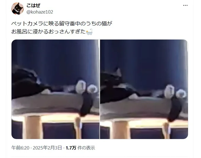 ペットカメラに…▶次はおっさんみたいなこはぜちゃん（⇒次へ）