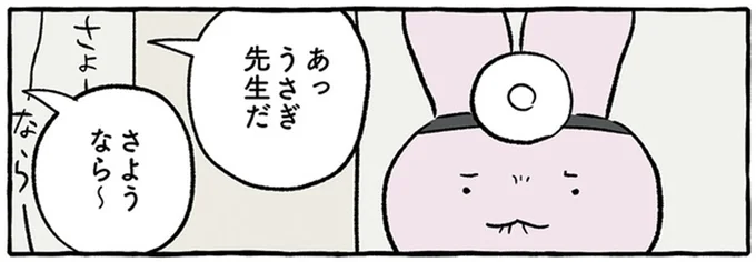 あっうさぎ先生だ