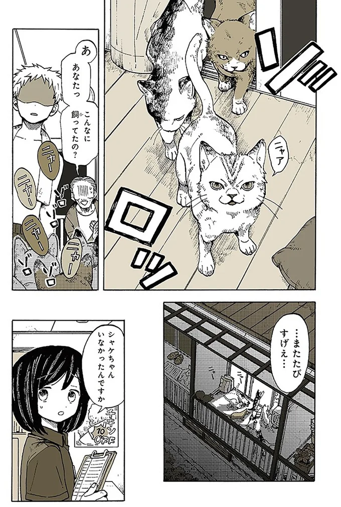ゾロッ