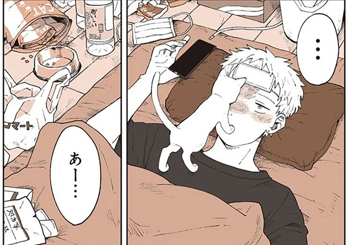 飼い主が寝込んでもおかまいなし。遊び盛りの子猫が部屋で暴れまくり!?
