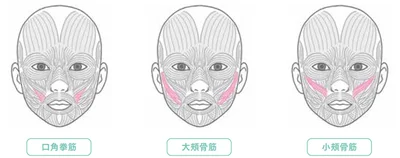 この筋肉を意識