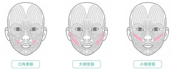 この筋肉を意識