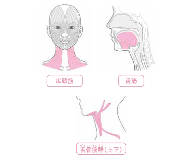 この筋肉を意識しよう