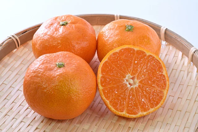 「ハウスみかん」は種がないのが特徴