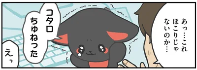 ほこりじゃないのか…