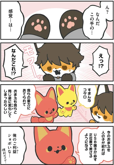 コタロー、キツネになる