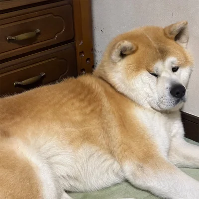 一応こっち向いてる▶︎ん？よく見ると…？（⇒次へ）