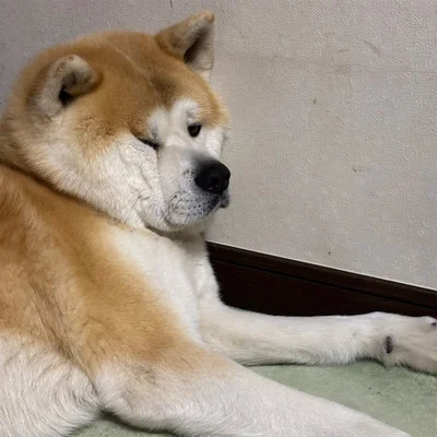 もはや右目は開いていない▶︎実際のポストはこちら（⇒次へ）