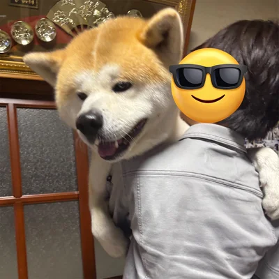 嬉しそうな表情のむう太くん▶︎後ろ姿からも喜びがダダ漏れ！（⇒次へ）