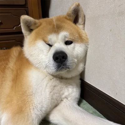 お顔、潰れてますよ〜！▶︎次はアングル違いで…（⇒次へ）