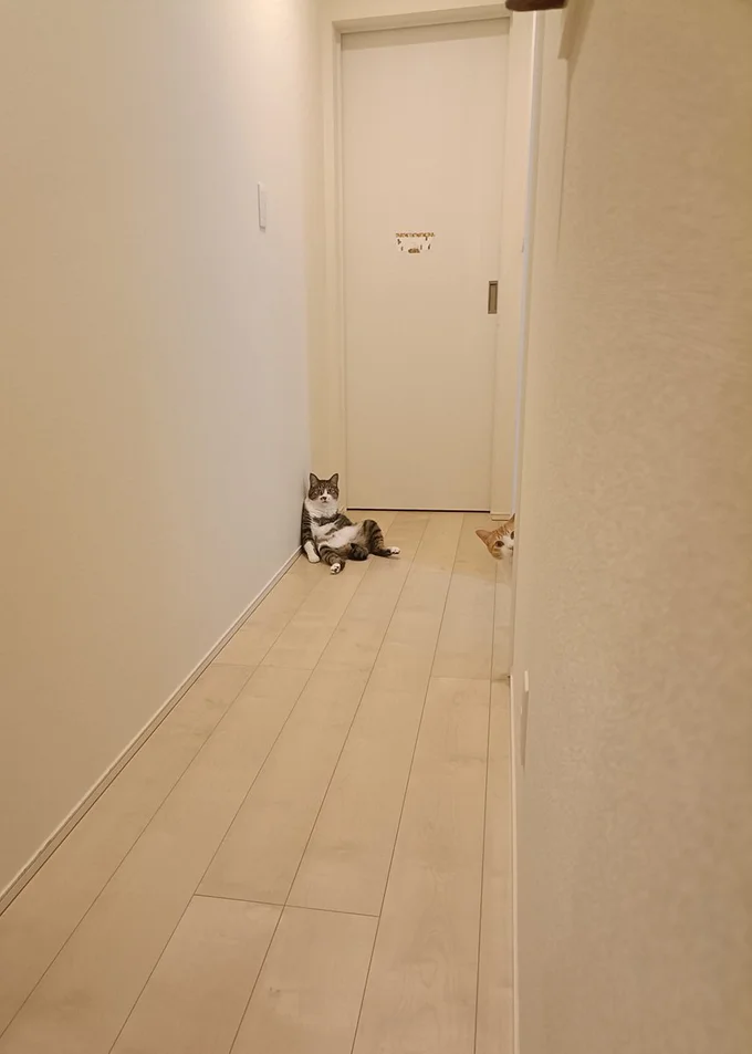 絶対に何かあった雰囲気で気になる!(笑)▶実は過去にもバズッた大人気のまめたろくん(⇒次へ)