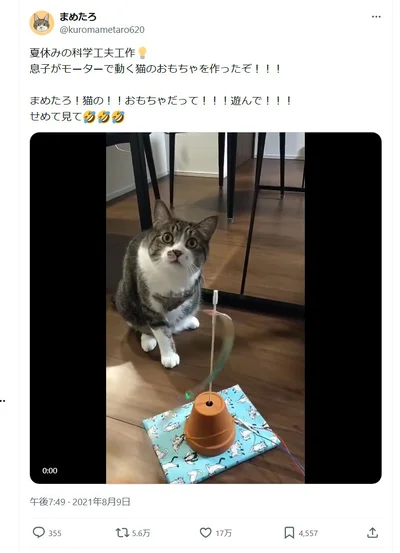 こっちじゃなくて！おもちゃを見て！（笑）▶その表情って、なんだか……（⇒次へ）