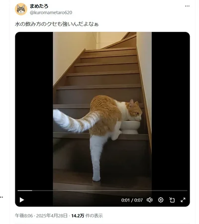 クセが強すぎる水の飲み方で注目を集めました！なぜその体勢！？▶あたたかくなってくると（⇒次へ）