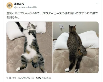 パウダービーズの枕もしっかり使いこなします！▶こたつ布団をしまうと……（⇒次へ）