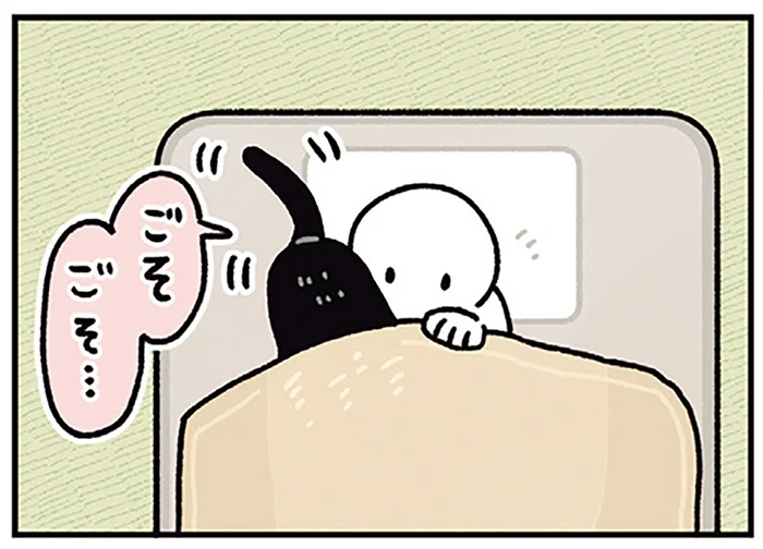 四季によって違いがある？冬の訪れを教えてくれる黒猫ろん