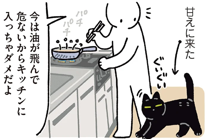 賢すぎる…。リビングとキッチンの境目で待つ黒猫ろん