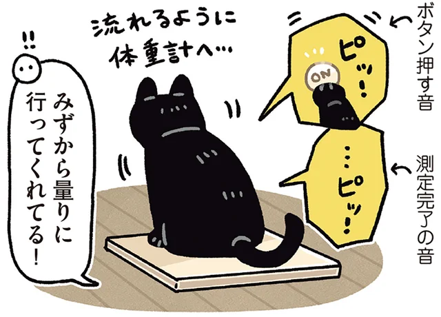 「ごはん食べたら体重量るね」飼い主の呼びかけでセルフ測定する黒猫ろん