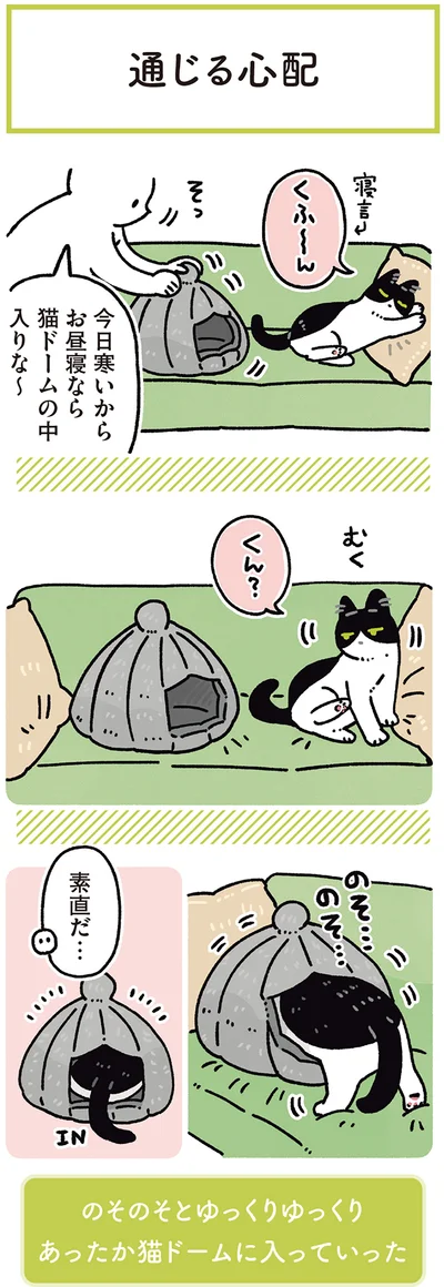 今日寒いからお昼寝なら猫ドームの中入りな～
