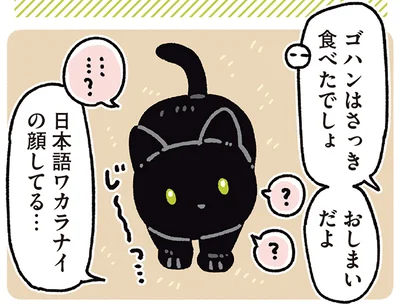 日本語ワカラナイの顔してる…