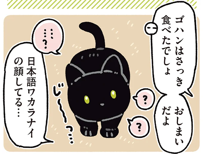 日本語ワカラナイの顔してる…