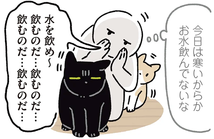 今日は寒いからかお水飲んでないな