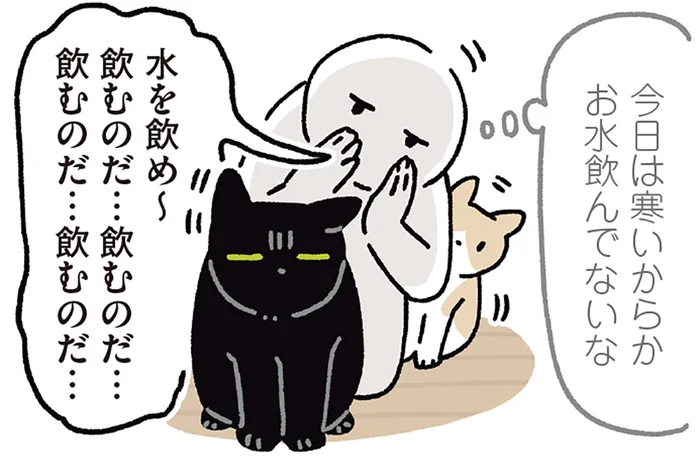「水を飲んで〜」飼い主のお願いにしぶしぶ応じる黒猫ろん／黒猫ろんと暮らしたら7（7）