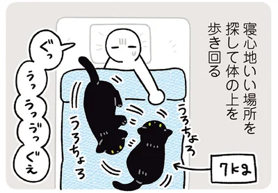 寝心地のいい場所を探して体の上を歩き回る