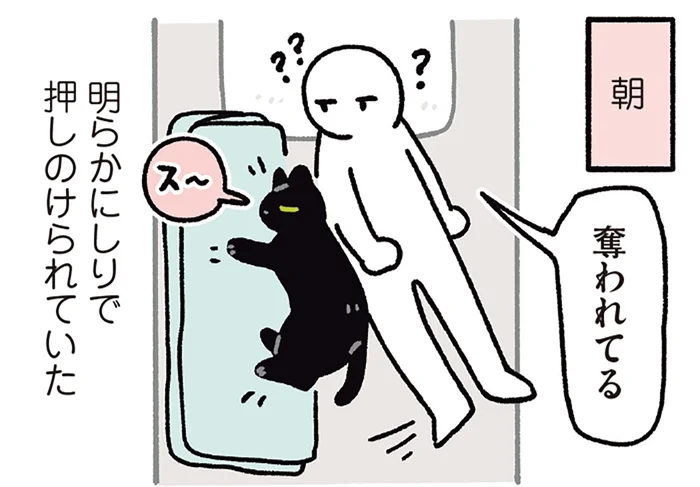 安心して添い寝ができる！飼い主を押しのけて寝る黒猫ろん