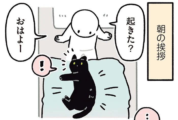 また1日が始まるね！飼い主の呼びかけに大喜びの黒猫ろん／黒猫ろんと暮らしたら7（11）