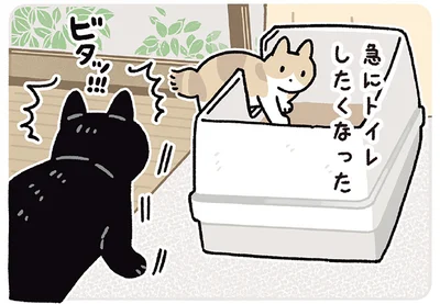 急にトイレしたくなった