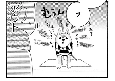 18歳になっても散歩が大好きなおじいちゃん犬。雨の日は無言の圧がスゴイ！