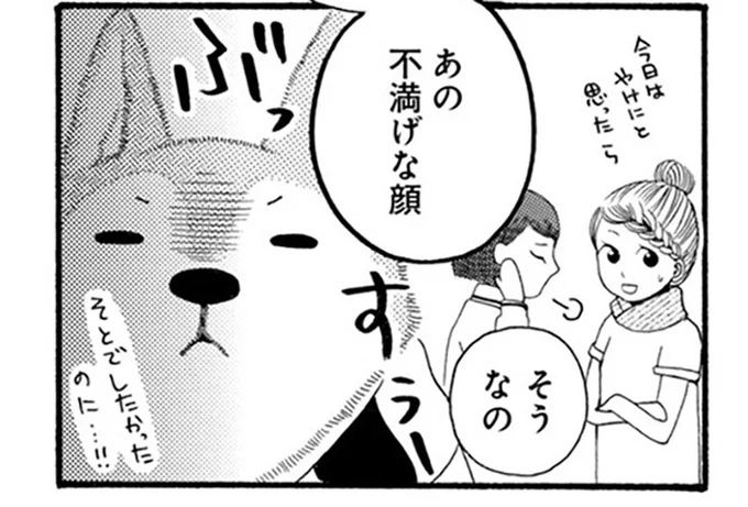 感情ダダ漏れ！ 雨で散歩に行けないことを察した犬の「不満顔」