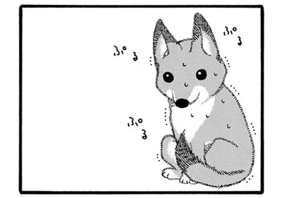 緊張してる？ 人見知りタイプ？ 我が家に柴犬の子犬をお迎えしたら