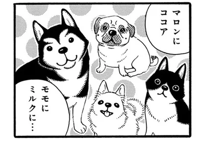 お友達犬の名前はマロン、ココア、ミルク。今時「ハチ」は珍しい？