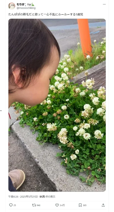 一心不乱に「ふーふー」！▶一体何と勘違いしたの？（⇒次へ）