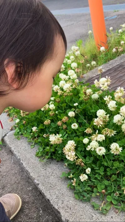 綿毛じゃなくてシロツメクサ！人生1年目の息子くんの新たな発見でした▶まだまだあります！1歳児ならではのキュートな姿（⇒次へ）