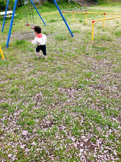 どんどん進む息子くん▶テクテク歩く姿がたまらなく可愛い！次は1歳児あるある！（⇒次へ）