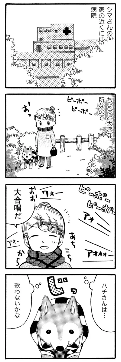 『じじ柴ハチさんは、今日も生きています。』より