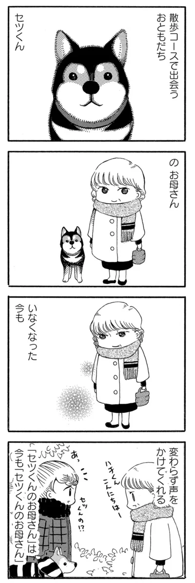 『じじ柴ハチさんは、今日も生きています。』より