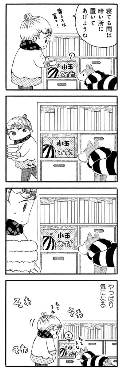 『じじ柴ハチさんは、今日も生きています。』より