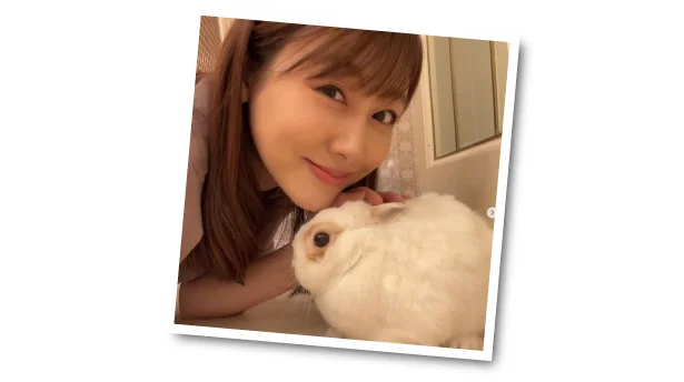 ウサギ好きの安さんが、自宅で飼っているしろ君