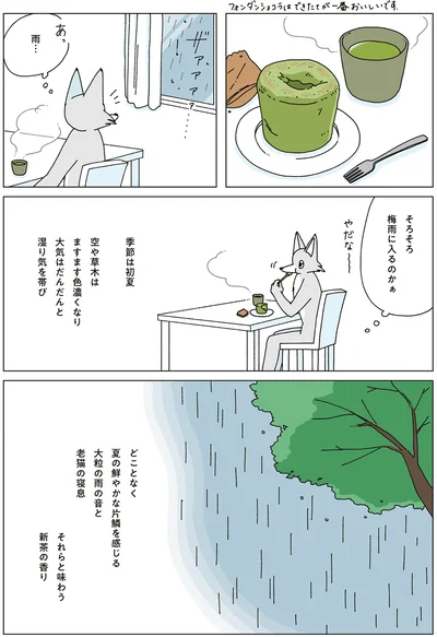 そろそろ梅雨に入るのかぁ